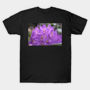 Purple pink flowers facemask T-Shirt